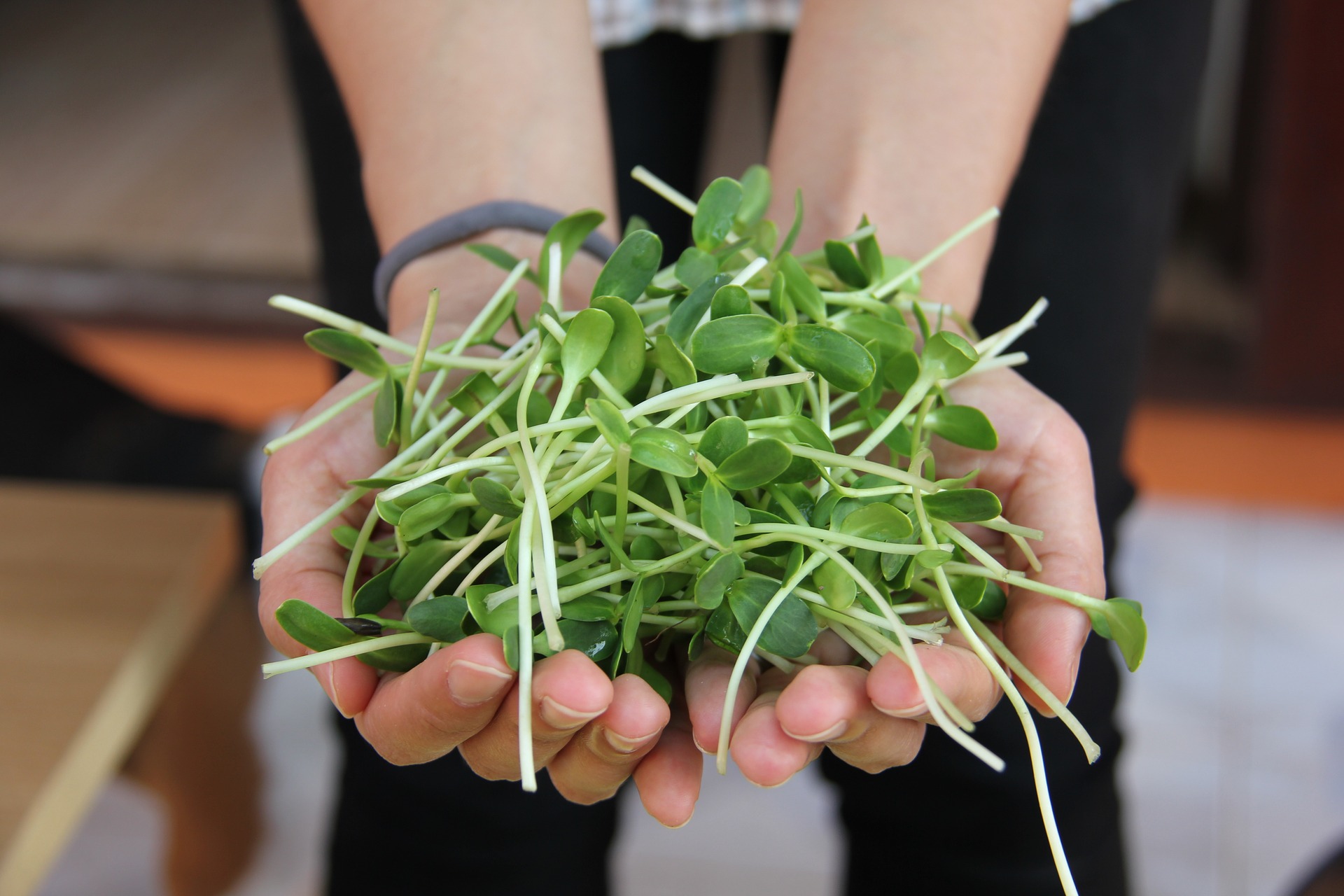 Microgreens-1